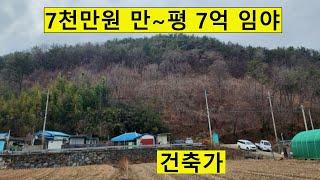 7천만원 싼임야 공시가이하 건축가 전원생활 숲가치72억 탄소권768만원 투자수익용 숲경영 약용재배 자연인 땅과함께(새희망을)경매임야 공매임야 나도땅주인