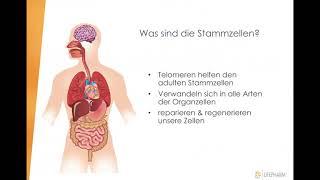 Laminine und Zellenverjüngung   Telomeren und Cortisol   Glosserteam stellt vor