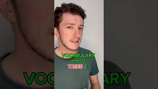 TREE VOCAB  #shorts #english #teacher