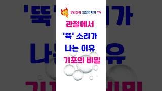312. 관절에서 ‘뚝’ 소리가 나는 이유 – 기포의 비밀  shorts #관절음