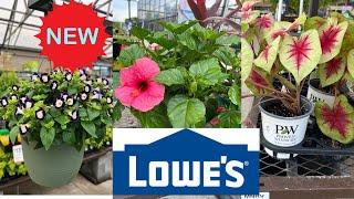 LOWE'S | HOW TO MAKE YOUR GARDEN BEAUTIFUL? | WHAT FLOWERS TO BUY AT LOWE'S?