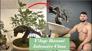 Bonsai Kurs Vlog: Intensive 2024 in Italien bei Mauro Stemberger