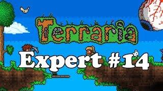 Terraria эксперт: эпизод #14