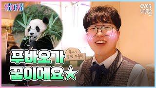 푸바오 꿈꿨지만 행복한 쿼카된 MD 캐스트의 사연 l 캐바캐 EP.6 l 에버랜드 캐스트 브이로그