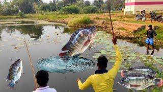 Fish Catching Videos Tamil / Hook fishing videos/Village fish catching videos tamil #fishing #fish