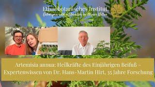 Artemisia annua: Entdecke die Heilkraft des Einjährigen Beifuß – Expertenwissen Dr. Hans-Martin Hirt