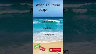 What is cultural adaptation?