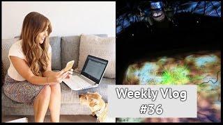 A 'Wicked' Weekend in London | xameliax Weekly Vlog #36