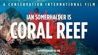 Nature Is Speaking – Ian Somerhalder is Coral Reef | Conservation International (CI)