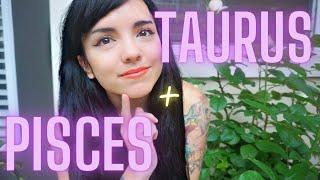 TAURUS AND PISCES | LOVE COMPATIBILITY | Synastry | Are they soul mates? Too much chill?