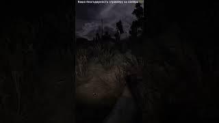 S.T.A.L.K.E.R. Беларусь А это кто такой?  #Shorts #stalker #сталкер