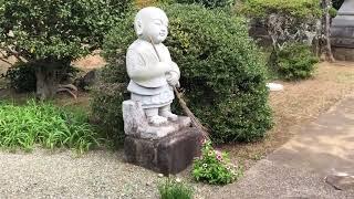 A Nature Tour of Hiratsuka