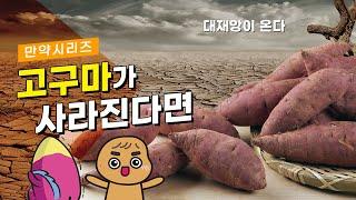  만약 고구마가 사라진다면 무슨 일이 일어날까? (feat. 감자머리)