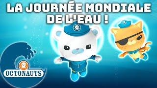 Octonauts -  Épisode spécial : La journée mondiale de l'eau ! | Compilation