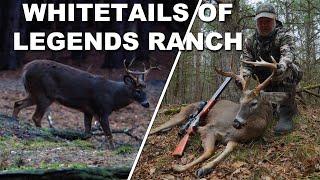 Long Distance Big Bore Airgun Hunt for Deer! | Legends Ranch