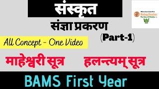 माहेश्वरी सूत्र, हलन्त्यम् सूत्र || संज्ञा प्रकरण {Part-1} || संस्कृत || BAMS First Year