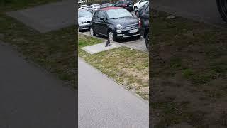 #shorts-месть соседу