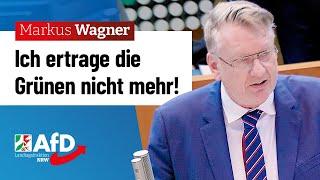 Ich ertrage die Grünen nicht mehr! – Markus Wagner (AfD)