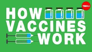 How do vaccines work? - Kelwalin Dhanasarnsombut