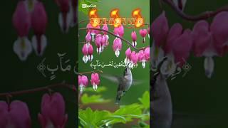 surah saad سورہ ص #relaxingsounds #short #islamicshorts #quranrecitation #tilawat #love