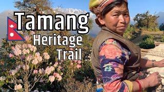 Tamang Heritage Trail Trek NEPAL | Explore Tamang Culture and Stunning Landscapes in Rasuwa, Nepal!