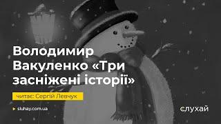 Аудіоказки письменника, який загинув від рук росіян. Володимир Вакуленко «Три засніжені історії»