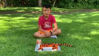 Mini Master Model Builder Competition 2022 - Dylan