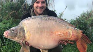 Coking farm, Oak lake, 40LB CARP CAUGHT, HUGE CARP