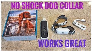 REVIEW Paws Furlosophy NO SHOCK Dog Training Collar with Remote BEEPS AND VIBRATE ONLY