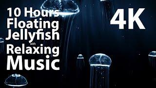 4K UHD 10 hour - Floating Jellyfish & Relaxing Music - calm, meditation, nature