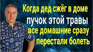 Чистка дома от порчи, ругани и болезней! Сожгите в доме пучок этой травы