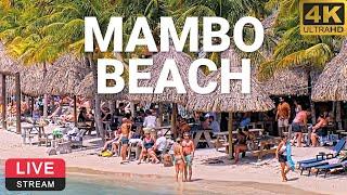 LionsDive Beach Resort | Mambo Beach | Curaçao  PTZ 4K LIVE WEBCAM