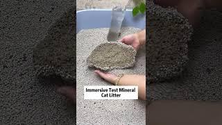 Mineral cat litter export. Cat litter china supplier. Pet supplies import #petcare #cat  #petfoods