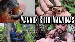 Is Manaus WORTH IT? | 4 Days in the Jungle (WHAT TO EXPECT/TRAVEL GUIDE)