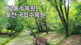 [광릉수목원] 포천 국립수목원 Korea National Arboretum