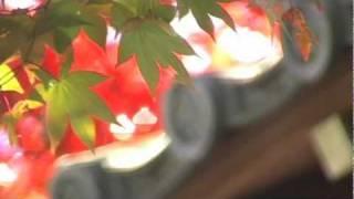 2010 autumn colors in Kyoto, Japan
