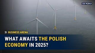 What awaits the Polish economy in 2025? | Business Arena