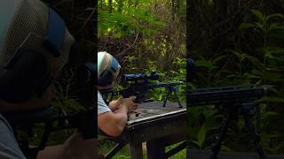 Sight in a RIFLE/308#viralreels #fypシ゚viral #viralshort