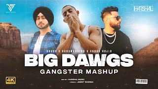 Big Dawgs Mashup | Harshal Music | Hanumankind | Big Dawgs X Karan Aujla | DHH Mashup 2024