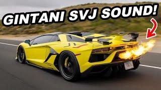 CRAZY Gintani Aventador SVJ & 25 Lamborghinis Mobbing the Streets! DDE Flames, Pops, Accelerations