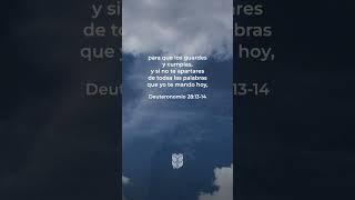 Deuteronomio 28:13-14 #biblevision #biblia #bible