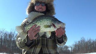 Catching a GIANT 18 3/4'' 3.7lb Crappie