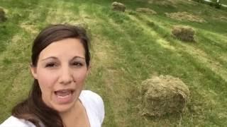 Baling Hay bales without a tractor or any equipment!