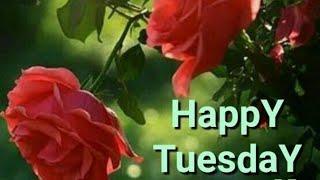 Tuesday good morning flowers images!! Best good morning pictures