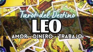  Leo ️ ESTA PERSONA APARECERÁ DE NUEVO, ANTES DE DAR EL PASO PIENSALO BIEN #leo Tarot del Destino