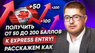 До 200 баллов для Express Entry в Онтарио по LMIA