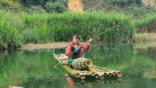 Bamboo rafting to trap stream fish - Daily Life Thuy