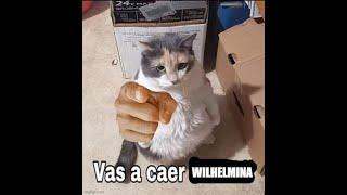 Vas a caer wilhelmina| Brown Dust 2