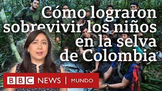 Cómo lograron sobrevivir los 4 niños que pasaron 40 días a la deriva en la selva de Colombia