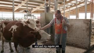 Customer story Seifried, Germany. “Going from 15 to 54 cows.”, with DeLaval herringbone parlour, DeL
